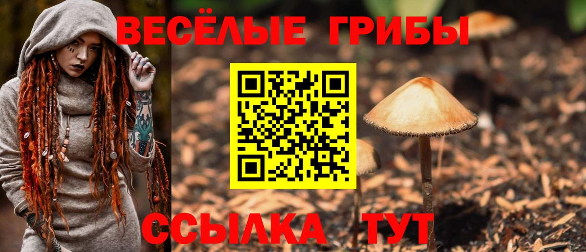 Псилоцибиновые грибы Psilocybine cubensis Симферополь